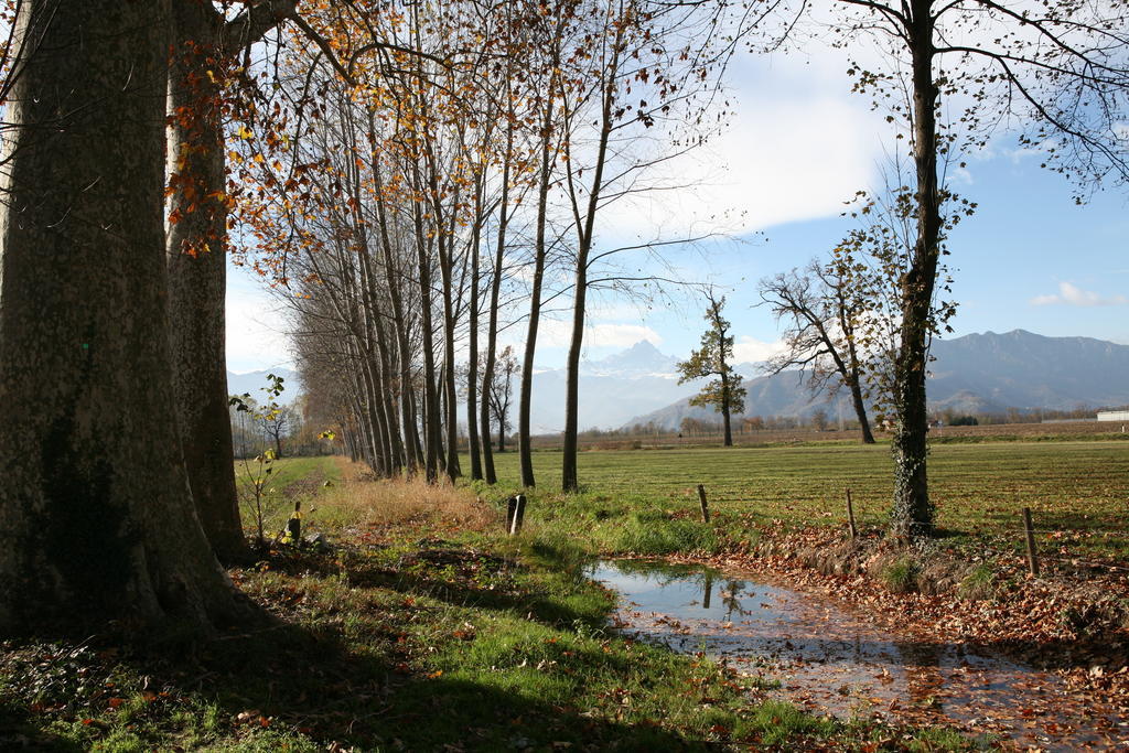 Agriturismo La Virginia Villa Revello Eksteriør bilde